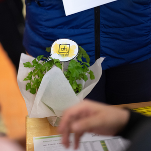 Ankommen, Freitag, 31. Jänner