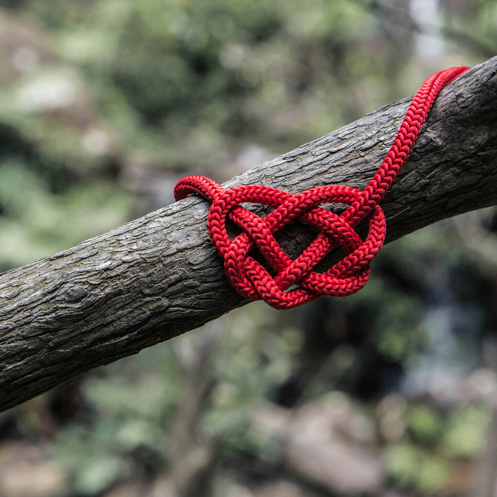 Netz der Menschlichkeit