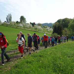 meditative Pilgerwanderung 28.4.18