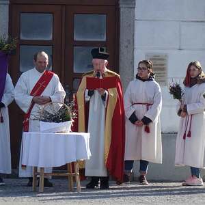 Palmweihe und Palmprozession