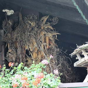 Ausflug der Pfarre St. Quirinus