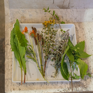 Maria Himmelfahrt  – Feier der Aufnahme Maria in den HimmelFrauen und Männer der Trachtengruppe Kirchdorf an der Krems brachten Kräuterbüscherl zum Gottesdienst, die von Pfarrer Pater Severin Kranabitl gesegnet und nach der Messe verteilt wurden.Fo