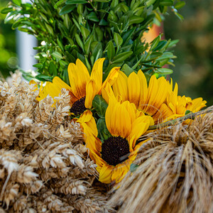 Erntedankfest St.Peter/Hart