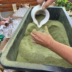 das Kräutersalz wird in Gläsern abgefüllt