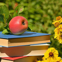 Katholisches Bildungswerk Dietach / © congerdesign/pixabay.com/Pixabay License Katholisches Bildungswerk Dietach