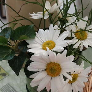 Elisabethsammlung 2016, Pfarre Neumarkt im Mühlkreis