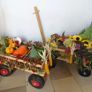 Erntedank 2017 Pfarre Sarleinsbach