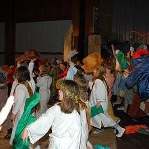 Lilli und das unglaubliche Comeback