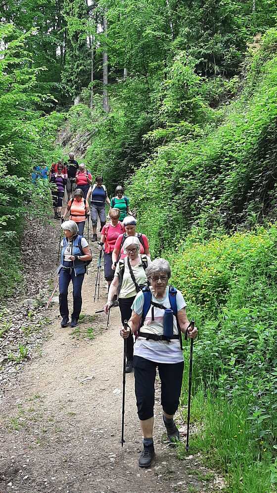 Fußwallfahrt nach Göttweig / © Berta Stadler Christi Himmelfahrt - 9.-11.5.2024