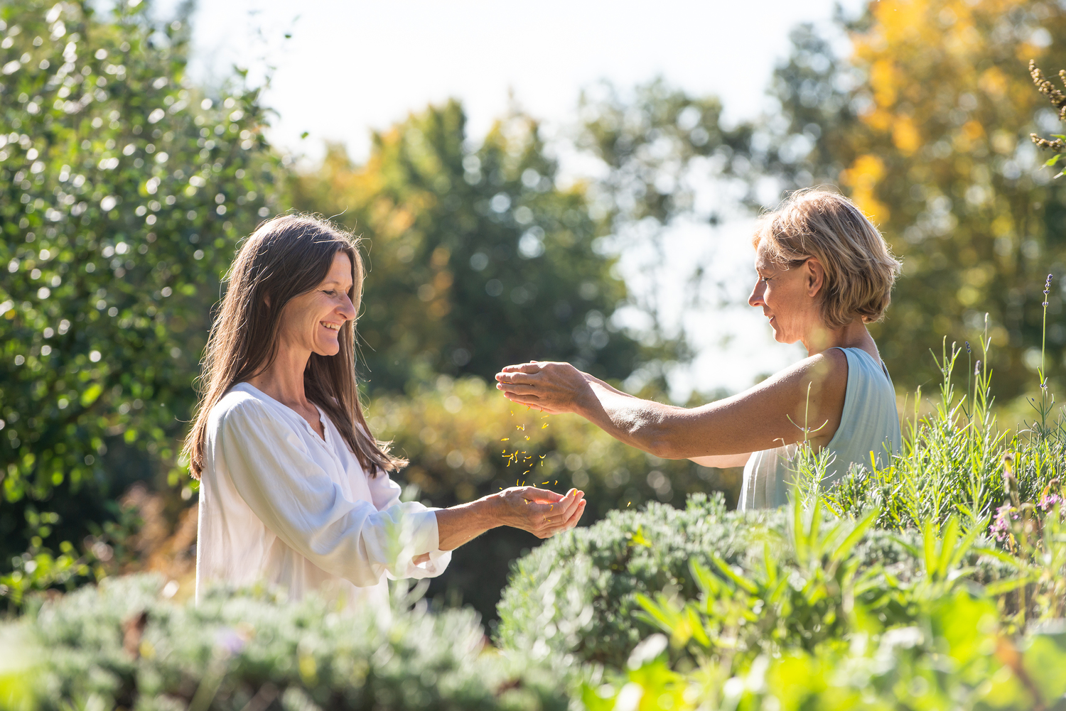 zwei Frauen im Grünen, die sich die Hände reichen. 