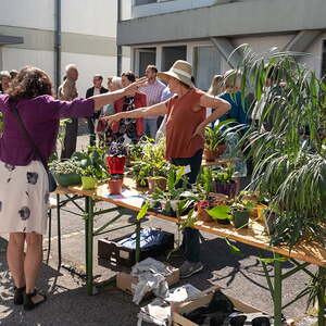 Pflanzenflohmarkkt 2018