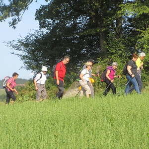 Naturparkweg Rechberg                                 