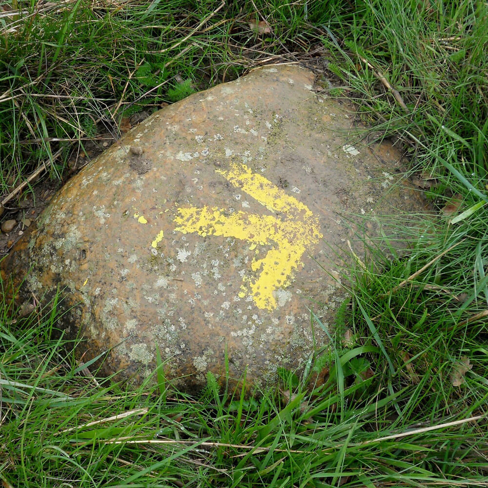 Grundlagen und Ziele