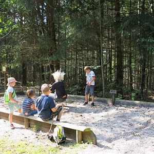 Naturerlebnisweg Pfarrwald Vöcklabruck