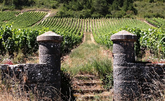 Steinmauer eines Weingutes