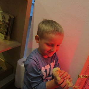 Projekt im März und April 2019