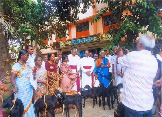 Übergabe der Ziegen / © DMSSS Übergabe der Ziegen