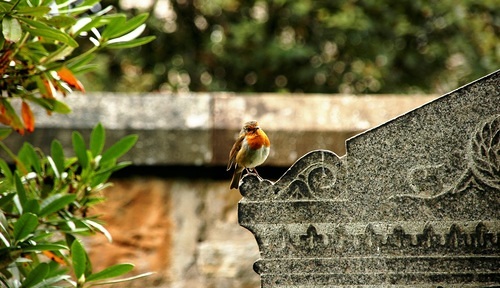 Stationenweg Friedhof