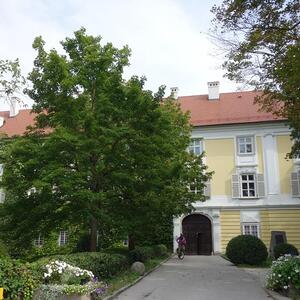 Ausflug für pflegende Angehörige