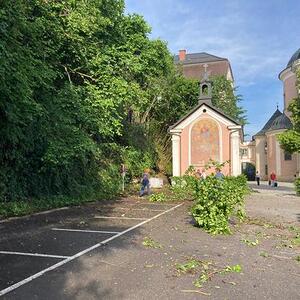 DANKE allen Helfern - viele Hände, schnelles Ende!