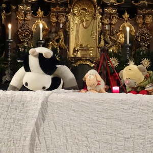 Ein Ochse gesellt sich dazu.                             