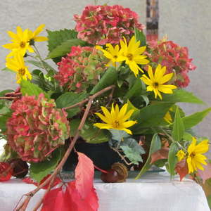 Pfarre Kleinmünchen