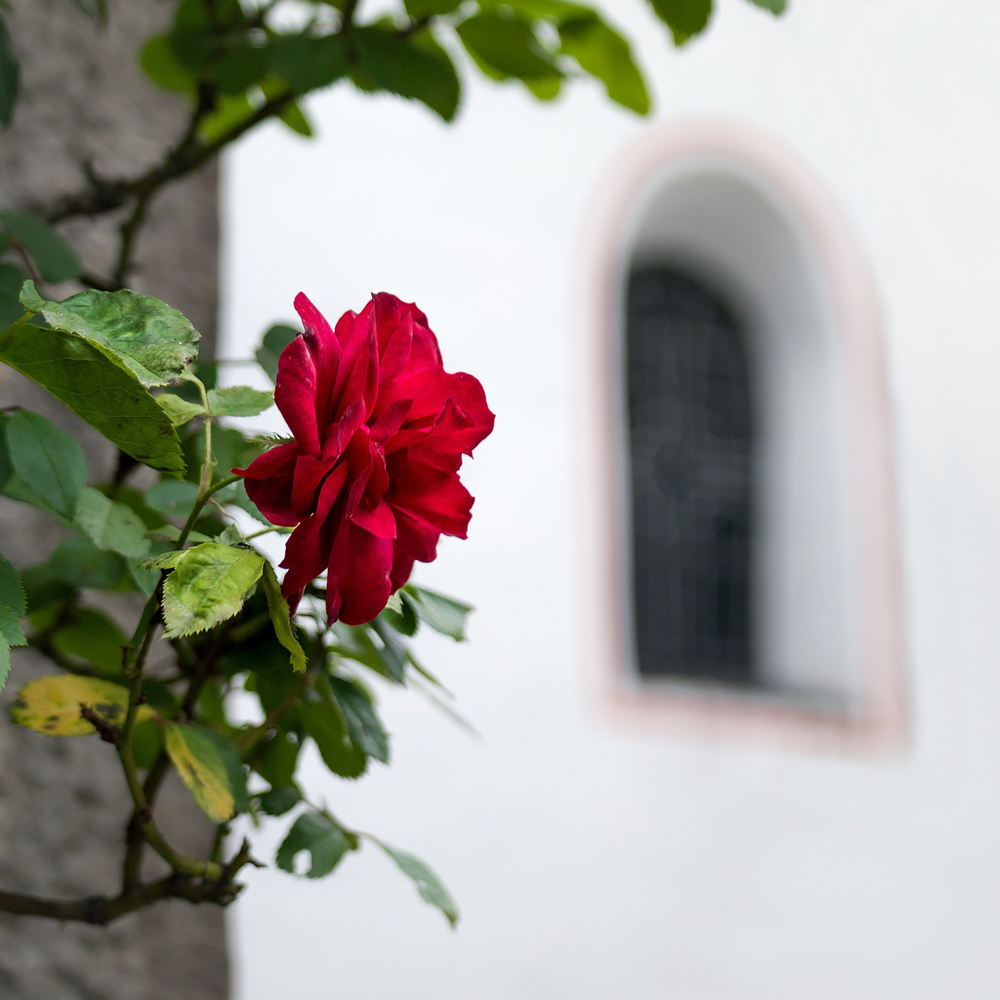 Kirchenschmuck