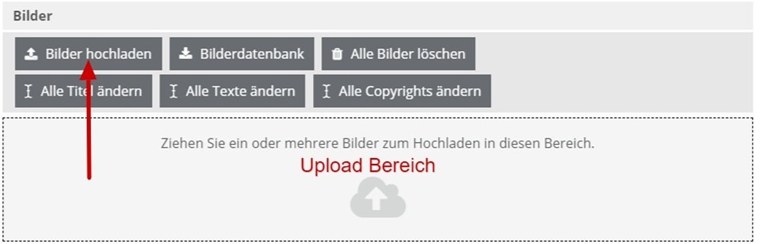 PGR Person Fotos hochladen / © Websupport/Diözese Linz PGR Person Fotos hochladen