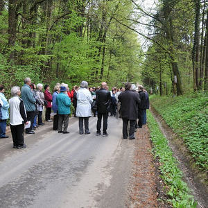 Kreuzweg am Schiltenberg