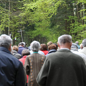 Kreuzweg am Schiltenberg