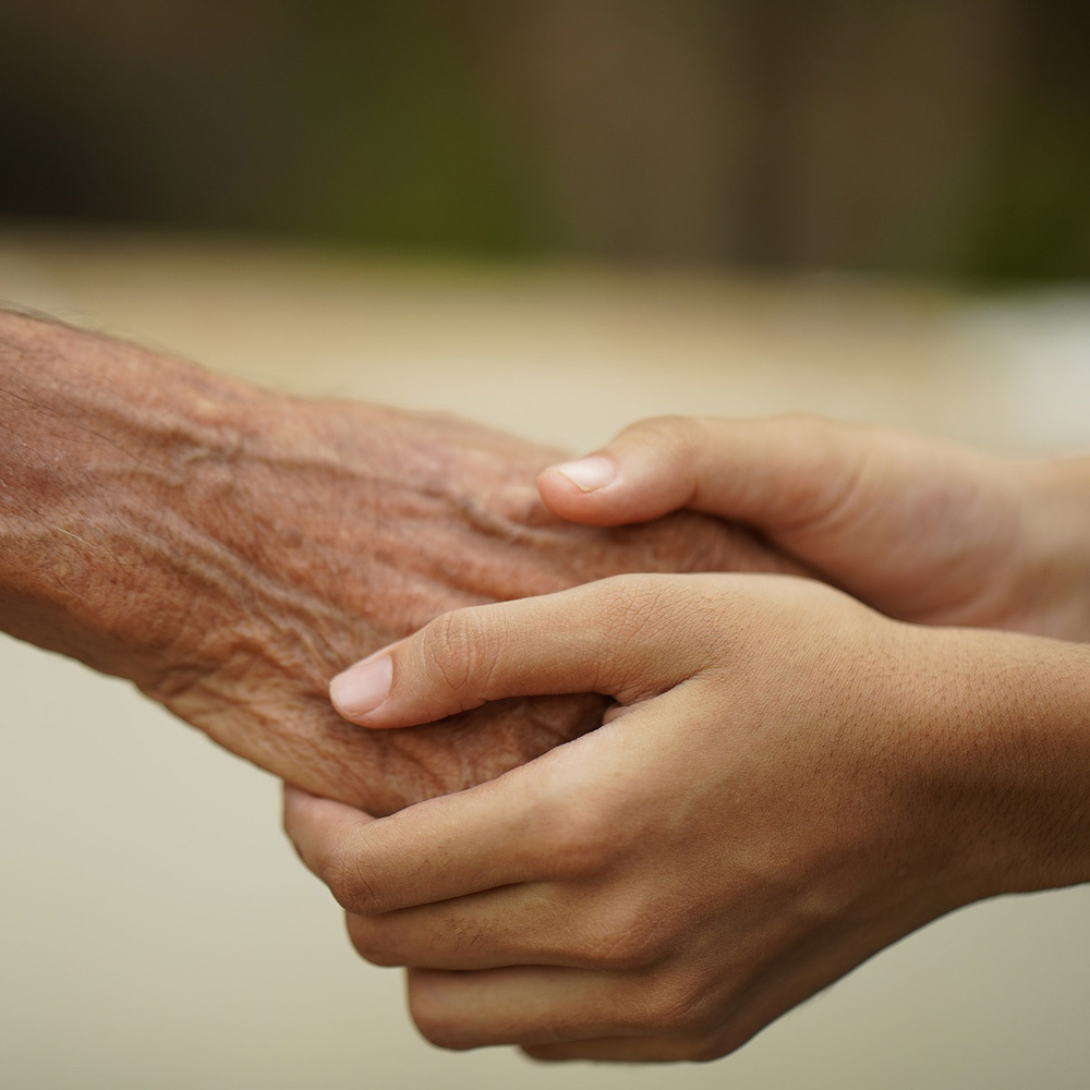 Betreuung und Pflege aufwerten! / © shameersrk/pixabay.com/Pixabay License Betreuung und Pflege aufwerten!