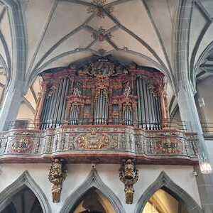 Orgel Stiftspfarrkirche