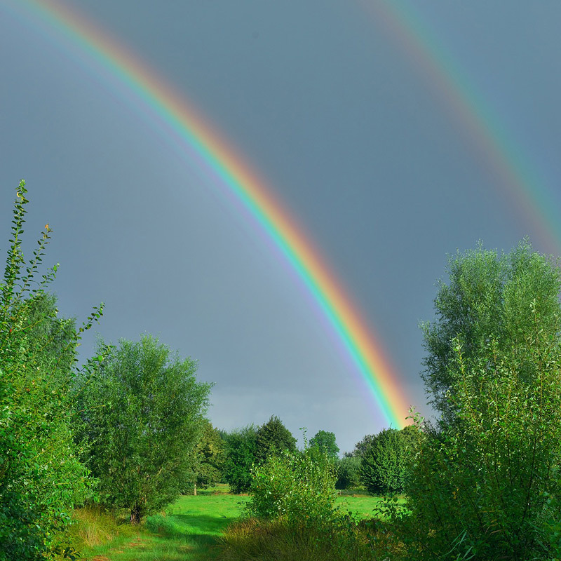 Regenbogen