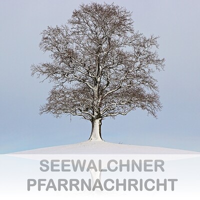 Pfarrnachricht Februar