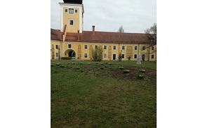 Baumpflanzung Schlosshof Puchheim
