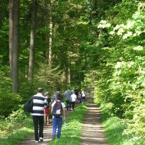 Firmvorbereitung und Firmung