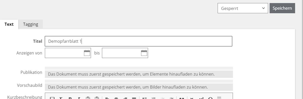 Publikationen Bearbeitungsfenster