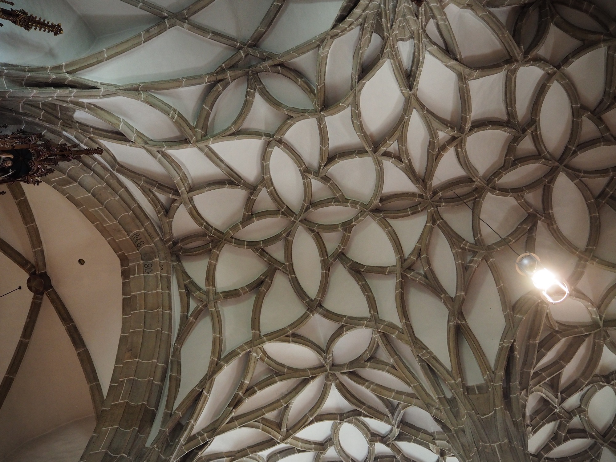 Schlingrippengewölbe         