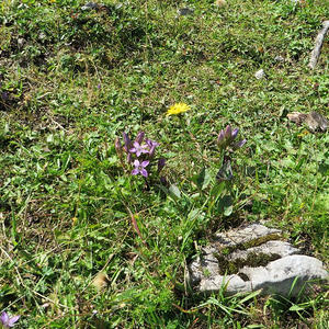 Bergmesse-Vorbereitung