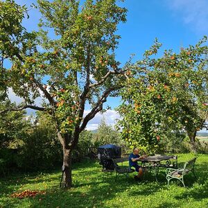 Erntedank- und Pfarrfest 2023