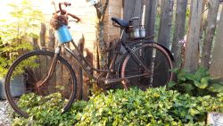Fahrrad im Garten