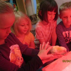 Projekt im März und April 2019