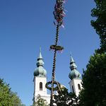 Maibaum Pfarre Maria Puchheim