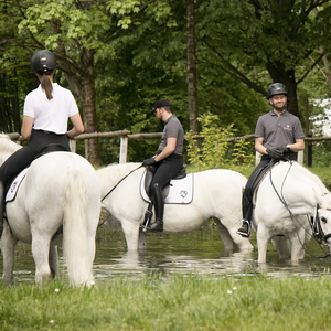 Pilgerreise Stmk - Tag 2