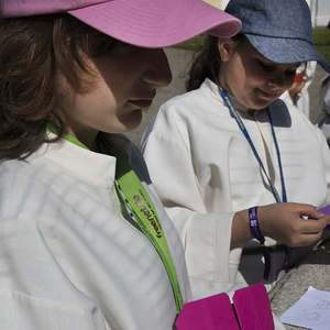 Minis in St. Florian