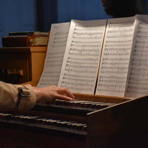 Michaela Aigner an der Orgel