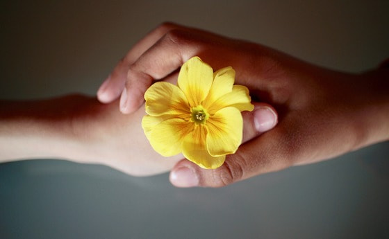 Blumengebende Hände