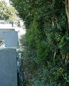 Grünanlage Friedhof