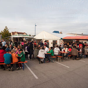 1. Schallerbacher Musiroas