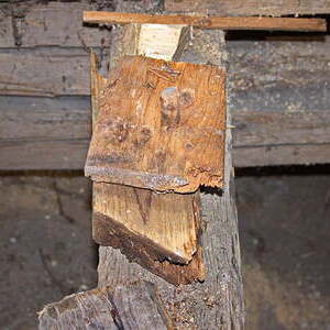 erste Fotos von der Dachstuhlsanierung